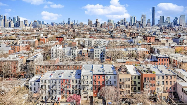 146 Nelson St, Brooklyn, NY 11231 - view of city