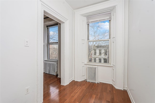 146 Nelson St, Brooklyn, NY 11231 - corridor with radiator heating unit, wood finished floors, and baseboards