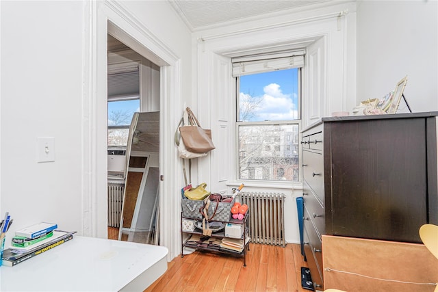 146 Nelson St, Brooklyn, NY 11231 - office with radiator heating unit and light wood finished floors