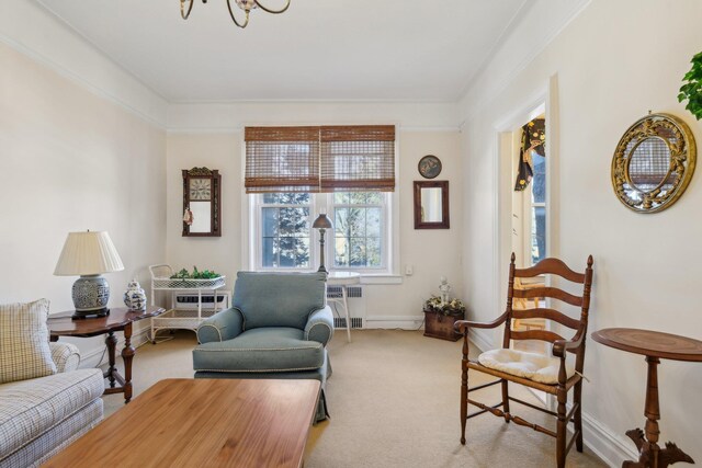 12 Hamilton Unit B5, Garden City, NY 11530 - photo 17