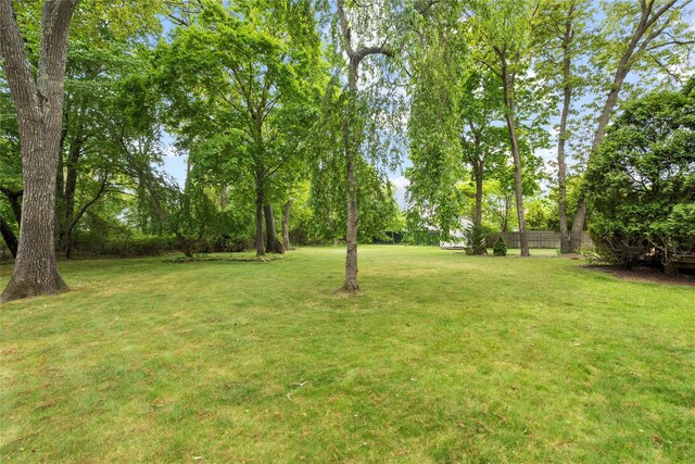 60 Hagerman Ave, East Patchogue, NY 11772 - view of yard