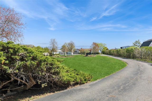46 Tuthill Point Rd, East Moriches, NY 11940 - view of asphalt road