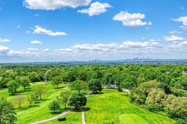 270-10 Grand Central Pkwy Unit 11V, Floral Park, NY 11005 - drone / aerial view of skyline, a golf course, and a tree filled landscape