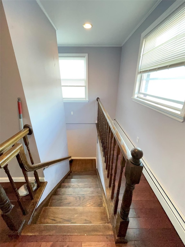 2 Ash Pl, Great Neck, NY 11021 - photo 7