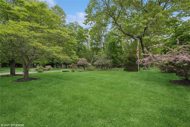 475 Lilac Ln, Cutchogue, NY 11935 - view of green lawn