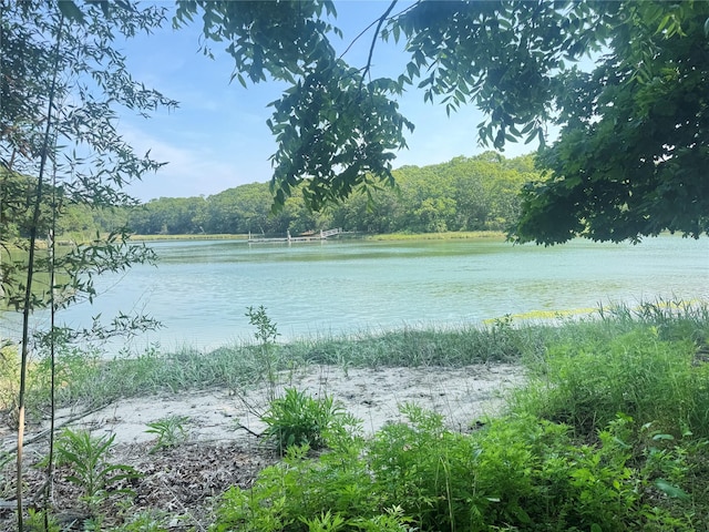 475 Lilac Ln, Cutchogue, NY 11935 - water view featuring a heavily wooded area