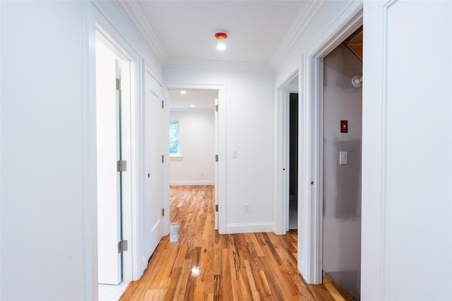 381 Wading River Rd, Manorville, NY 11949 - hallway featuring light wood-type flooring, baseboards, and ornamental molding