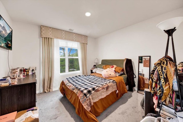 26 Kyleigh Way, Middletown, NY 10940 - bedroom with carpet floors
