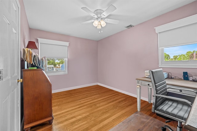 149 E Main St, Washingtonville, NY 10992 - home office featuring plenty of natural light, wood finished floors, a ceiling fan, and baseboards