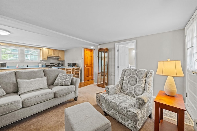 149 E Main St, Washingtonville, NY 10992 - living area with light carpet