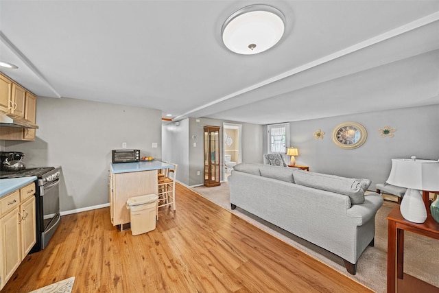149 E Main St, Washingtonville, NY 10992 - living room featuring light wood-style floors and baseboards