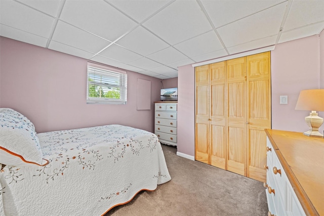 149 E Main St, Washingtonville, NY 10992 - carpeted bedroom with a drop ceiling and a closet