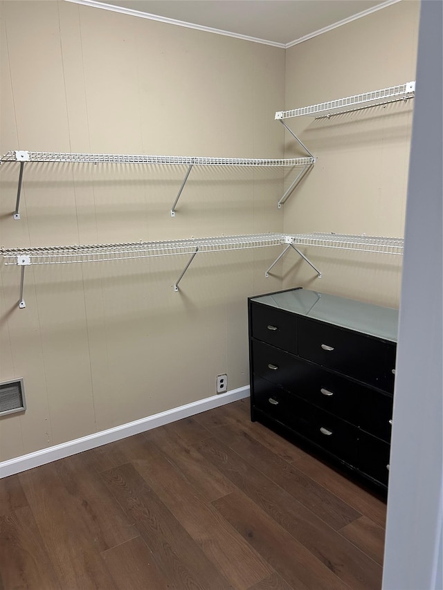 walk in closet featuring dark wood-style flooring