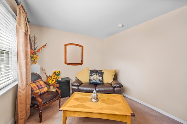 178 Prospect Pl, Bay Shore, NY 11706 - carpeted living area with baseboards and plenty of natural light