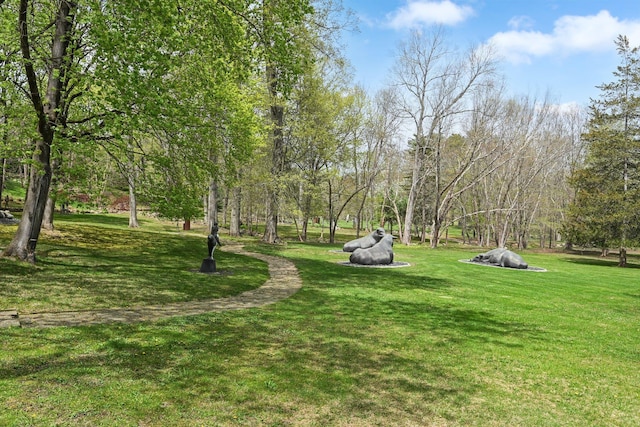 118 John St, Greenwich, CT 06831 - view of property's community featuring a lawn