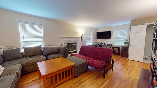 10 Courtney Ln, Brewster, NY 10509 - living room with ornamental molding, light wood-style floors, a glass covered fireplace, and baseboard heating