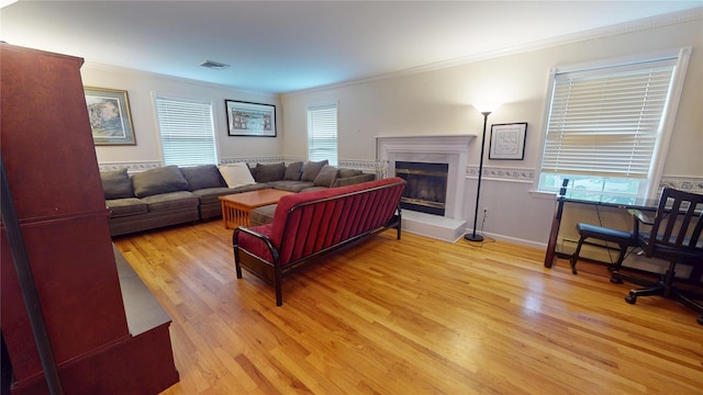 10 Courtney Ln, Brewster, NY 10509 - living room with crown molding, plenty of natural light, light wood-style flooring, and a fireplace