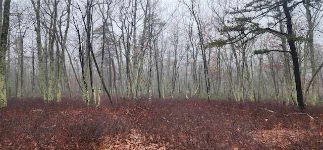 Peewee Trl, Wurtsboro, NY 12790