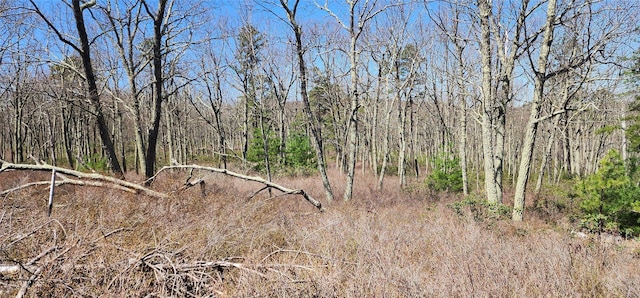 Peewee Trl, Wurtsboro, NY 12790