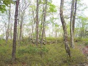 Peewee Trl, Wurtsboro, NY 12790