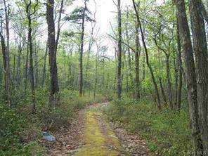 Peewee Trl, Wurtsboro, NY 12790
