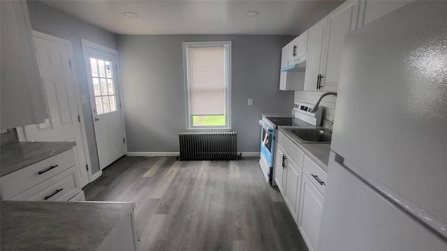 164 Thompson St, Poughkeepsie, NY 12601 - kitchen with radiator heating unit, white appliances, dark wood-style flooring, and healthy amount of natural light