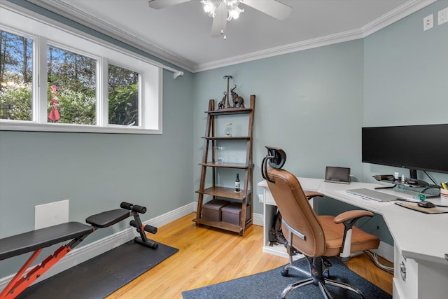 7 Tuxedo Dr, Melville, NY 11747 - office space featuring wood finished floors, ceiling fan, ornamental molding, and baseboards