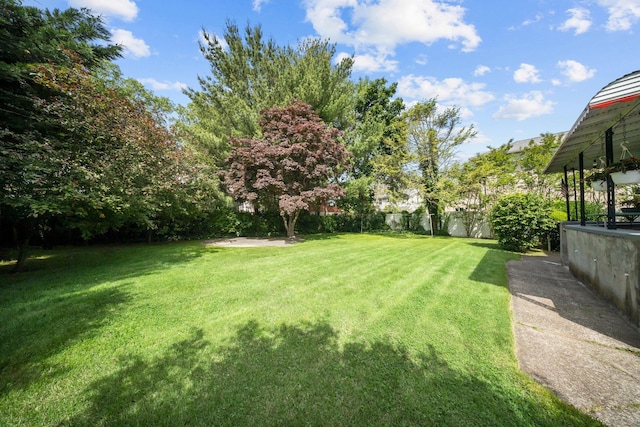 2816 215th Pl, Bayside, NY 11360 - view of yard
