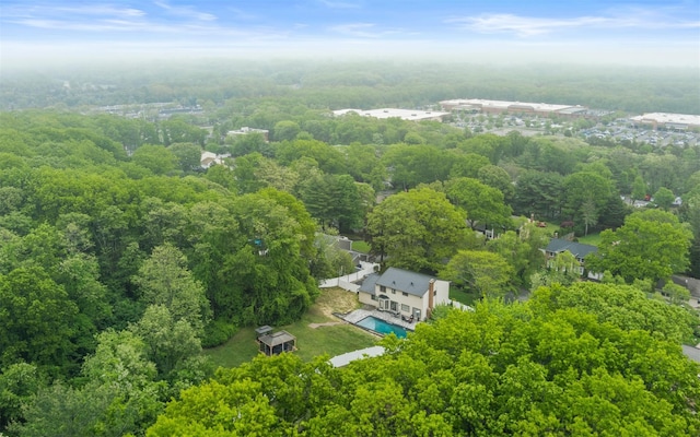 94 Stonehurst Ln, Dix Hills, NY 11746 - bird's eye view of a forest and a pool area