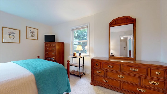 10 Lenox Ct Unit 806, Suffern, NY 10901 - bedroom with light colored carpet and baseboards