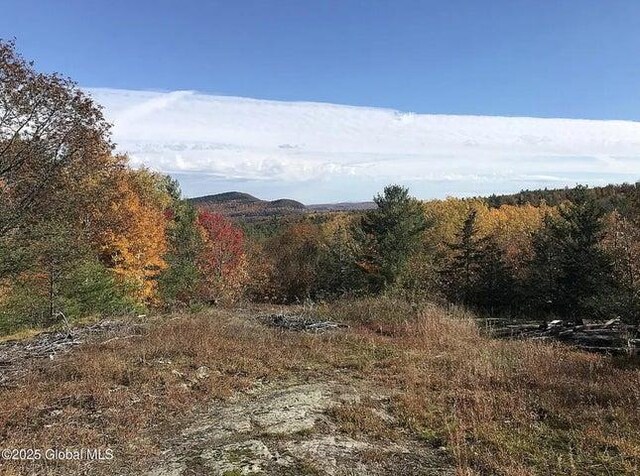 981 New Hague Rd, Call Listing Agent, NY 12836 - view of mountain background with a heavily wooded area