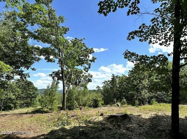 981 New Hague Rd, Call Listing Agent, NY 12836 - view of tree filled area