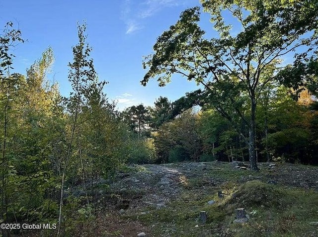 981 New Hague Rd, Call Listing Agent, NY 12836 - view of wooded area