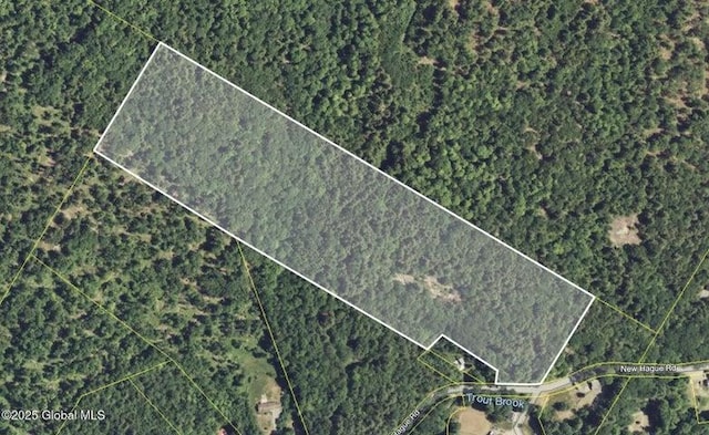 981 New Hague Rd, Call Listing Agent, NY 12836 - map / location with property boundaries highlighted