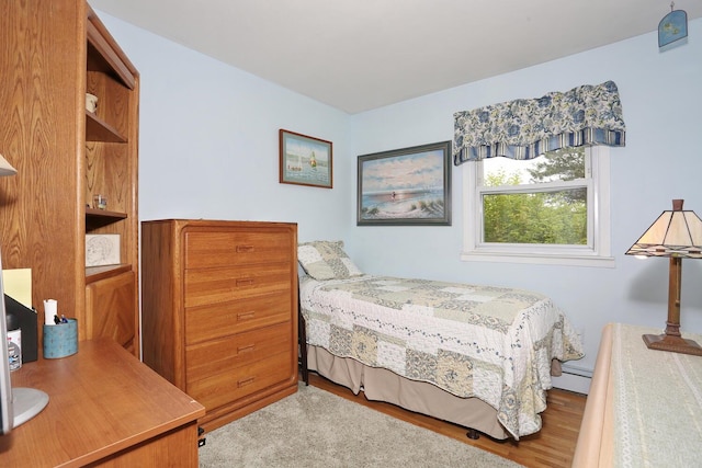 29 Park Ter, Valley Cottage, NY 10989 - bedroom featuring wood finished floors