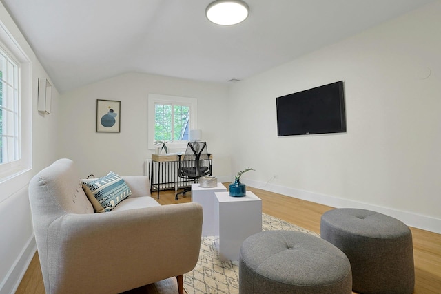 92 Glenwood Ave, New Rochelle, NY 10801 - living room featuring light wood-style floors and vaulted ceiling