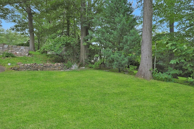 92 Glenwood Ave, New Rochelle, NY 10801 - view of grassy yard