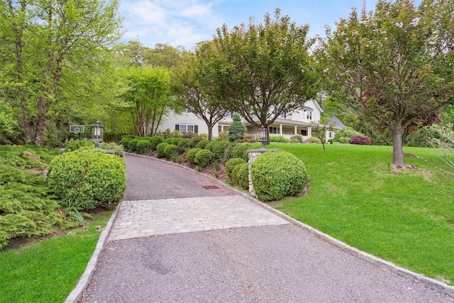 7 Ridgeview Cir, Armonk, NY 10504 - view of property's community with asphalt driveway and a lawn