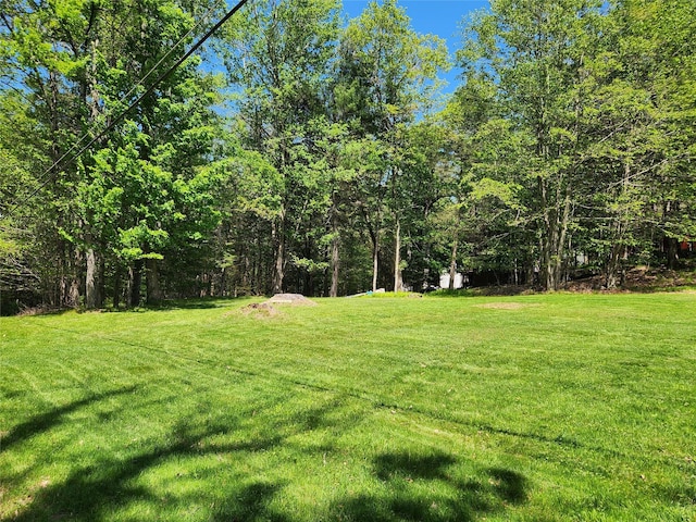 45 W Kenoza Pl, Smallwood, NY 12778 - view of green lawn
