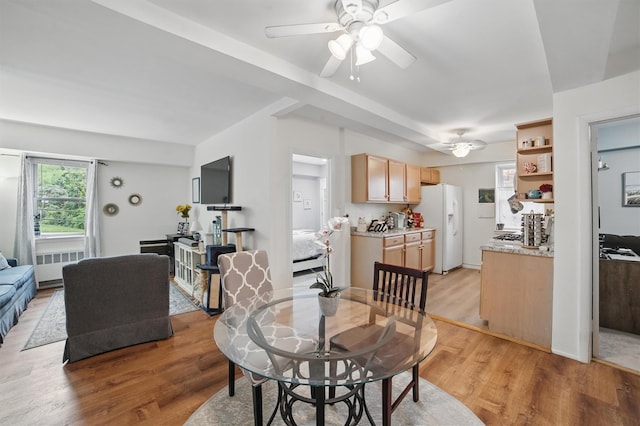 135 Highland Ave S Unit D1, Ossining, NY 10562 - dining room featuring ceiling fan, light wood-style flooring, and radiator heating unit