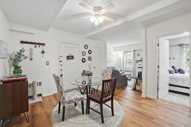 135 Highland Ave S Unit D1, Ossining, NY 10562 - dining room with ceiling fan, light wood-type flooring, plenty of natural light, and a baseboard radiator