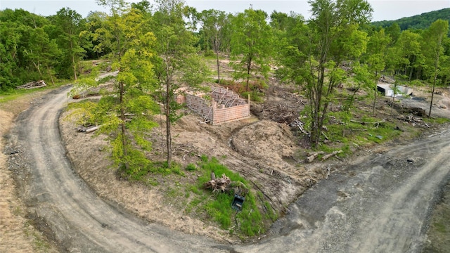 40 Wells Rd, Newburgh, NY 12550 - photo 35