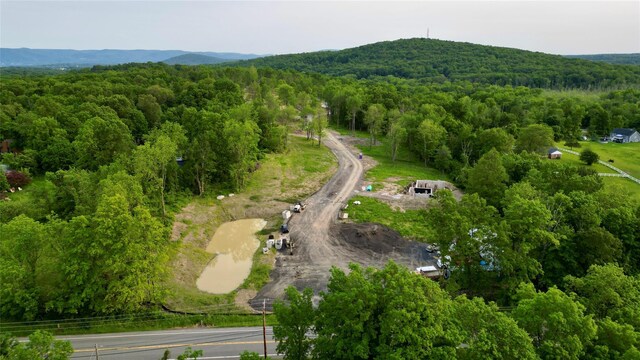 40 Wells Rd, Newburgh, NY 12550 - photo 28