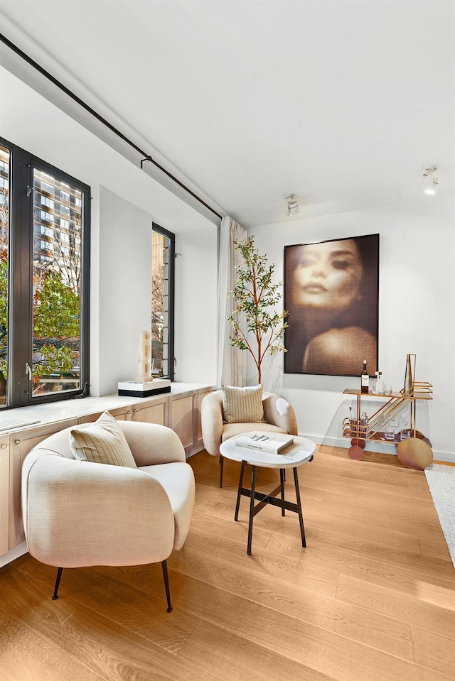 212 E 95th St, New York Manhattan, NY 10128 - living room with light wood finished floors