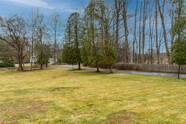 129 Boardman Rd, Poughkeepsie, NY 12603 - view of yard