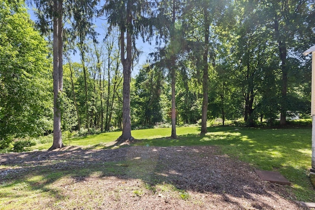 208 Tomahawk St, Somers, NY 10598 - photo 2