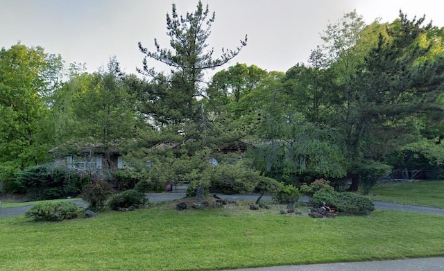 view of front of property with a front lawn