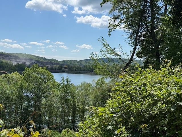 1 Deforest Ct, West Nyack, NY 10994 - water view with a heavily wooded area