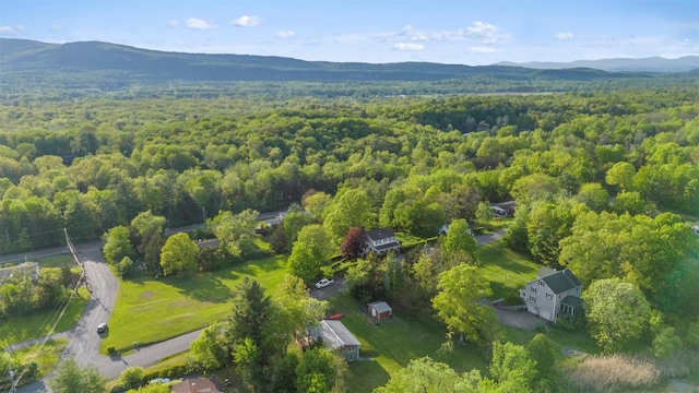 2 Mountain View Pl N, New Paltz, NY 12561 - aerial view of property's location with a forest and a mountain backdrop