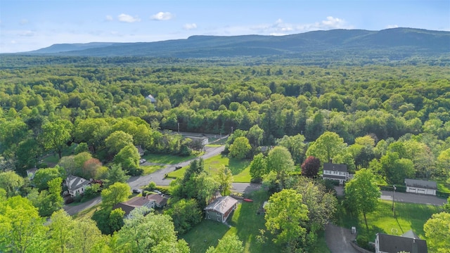 2 Mountain View Pl N, New Paltz, NY 12561 - drone / aerial view of a mountain backdrop and a forest